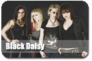 Black Daisy