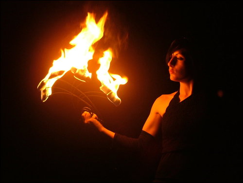Fire Hybration